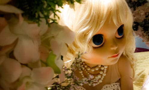 Vibrant Floral & Plant