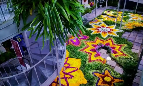 Floral Carpet